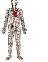 LYMPH.CGM