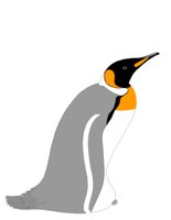 PENGUIN.CGM