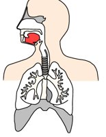 RESPTORY.CGM