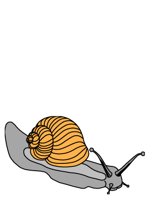 SNAIL.CGM
