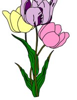 TULIPS.CGM