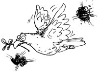 CMS_03_B.TIF