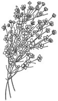 DYN_24_B.TIF