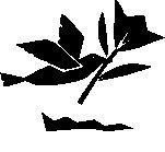 LET_23_B.EPS
