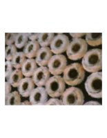 bagels10.PICT