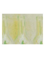 bottle03.PICT