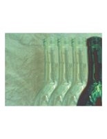 bottle07.PICT