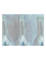 bottle08.PICT