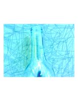 bottle12.PICT