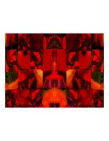 redFishCollage.PICT