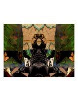 twinCollage.PICT