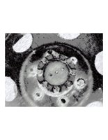 wheel.PICT