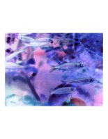 fish.PICT