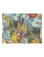 flower02.PICT