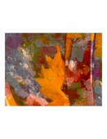 autumn.PICT