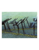 bikeRacks.PICT