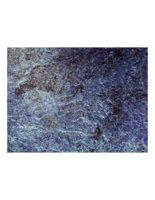 bluFeathers.PICT