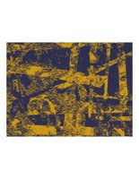 palmPrint.PICT