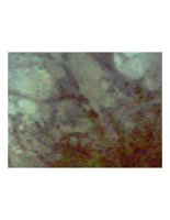 pixelCloud.PICT