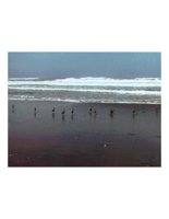 birdsonBeach.PICT