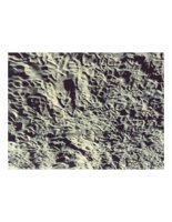 patternsinSand.PICT