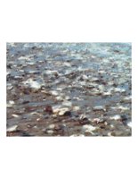 shells.PICT