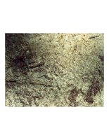 ground.PICT