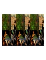 worldCollage.PICT