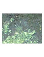 powderedGround.PICT