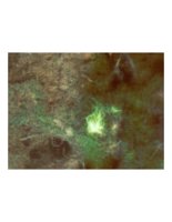 darkwoods.PICT