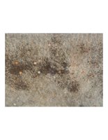 pennies.PICT
