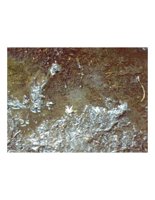 slimyMud.PICT