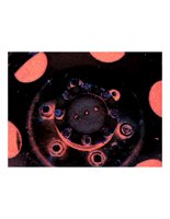 wheel02.PICT