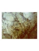 caveWall.PICT