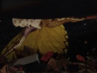 fairy.TIF