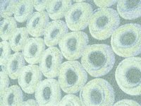 bagels07.TIF