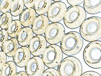 bagels11.TIF