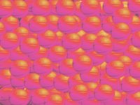 pinkMelonBalls.TIF