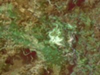 blmoss03.TIF