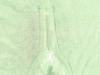 bottle10.TIF