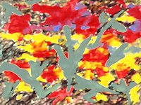 redFlowerDrawing.TIF