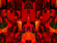 redFishCollage.TIF