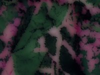 greenClouds.TIF