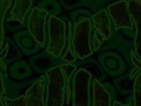 greenSnake.TIF