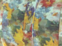 flower02.TIF