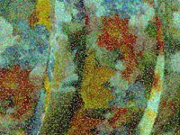 flower03.TIF