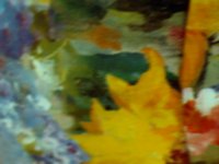 flower05.TIF