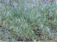 pencilGrass.TIF