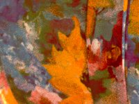 autumn.TIF