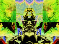electricTwinCollage.TIF